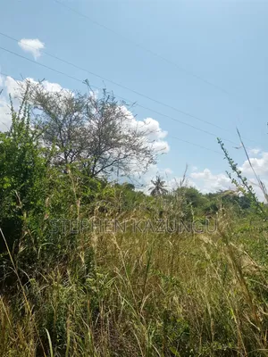 A Green-View 1 Acre Plot Near to Mwabungo Town.