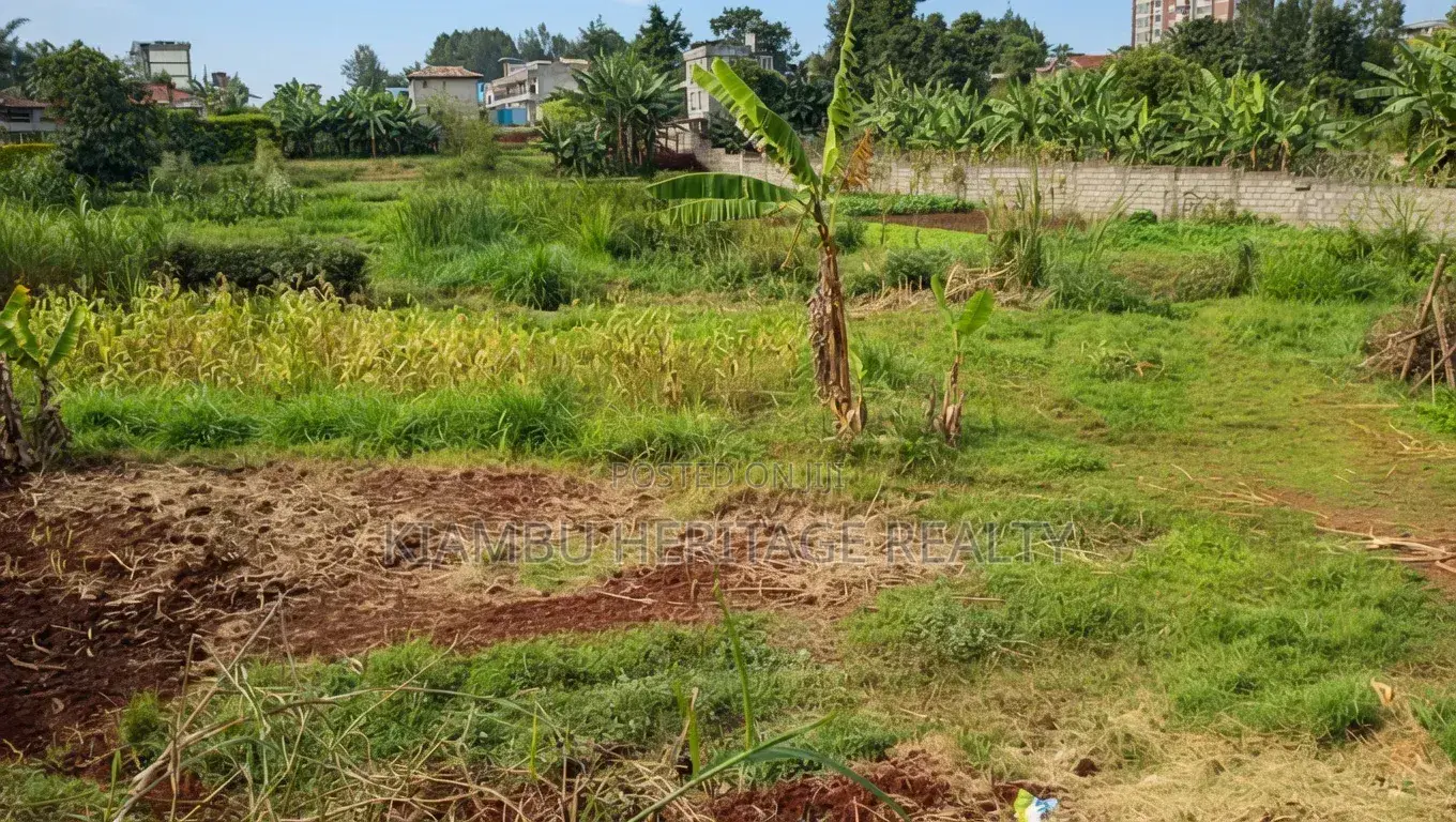 Prime Plot for Sale 63*100 Near Rukubi