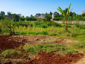 Prime Plot for Sale