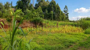 Prime Plot for Sale