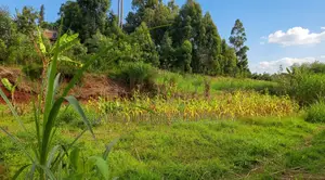 Prime Plot for Sale 63*100 Near Rukubi