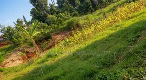 Prime Plot for Sale 63*100 Near Rukubi