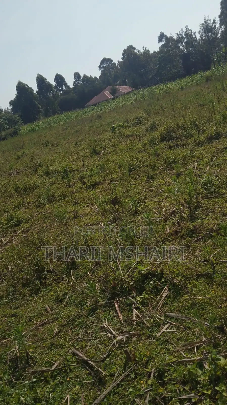 Shamba Onsale Lugulu Western Kenya 6 Plots Available