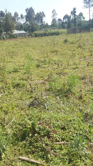Shamba Onsale Lugulu Western Kenya 6 Plots Available