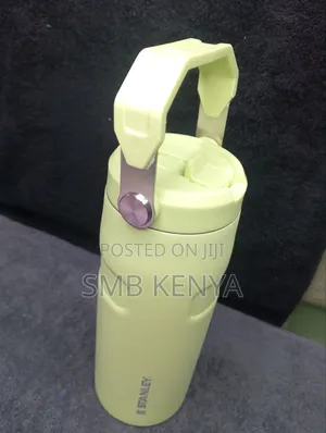 Stanley Water Bottle