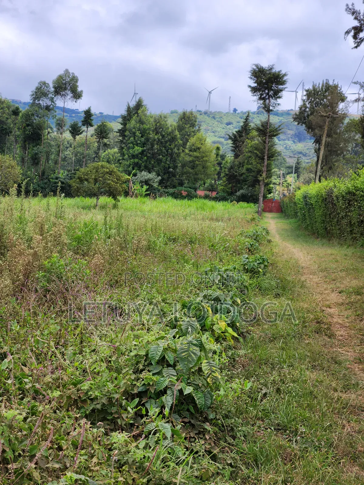 Prime Affordable 1⁄4acres Ngong Along Kahara Road