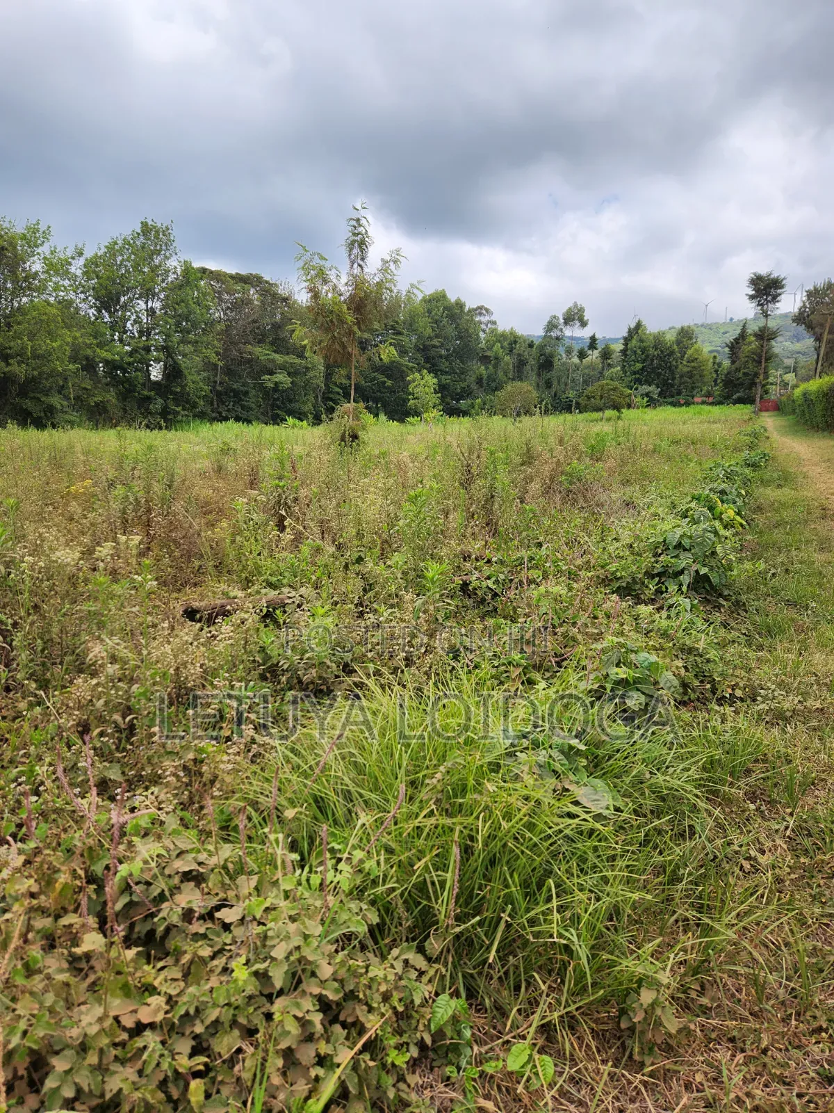 Prime Affordable 1⁄4acres Ngong Along Kahara Road