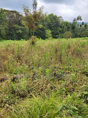 Prime Affordable 1⁄4acres Ngong Along Kahara Road