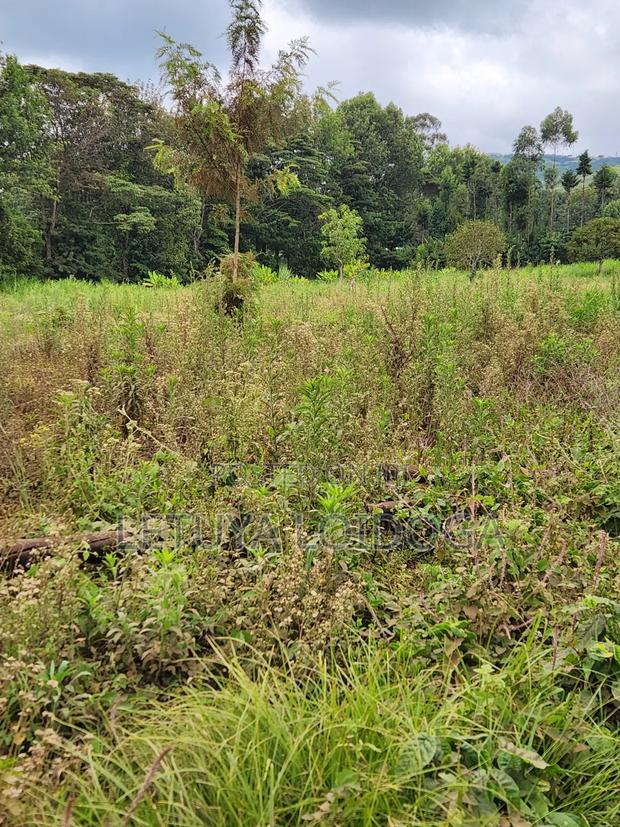 Prime Affordable 1⁄4acres Ngong Along Kahara Road - thumbnail 4