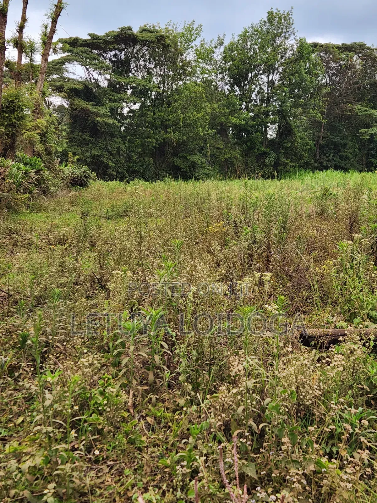 Prime Affordable 1⁄4acres Ngong Along Kahara Road