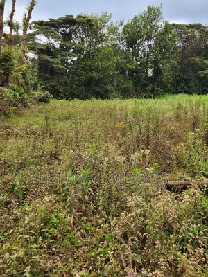 Prime Affordable 1⁄4acres Ngong Along Kahara Road
