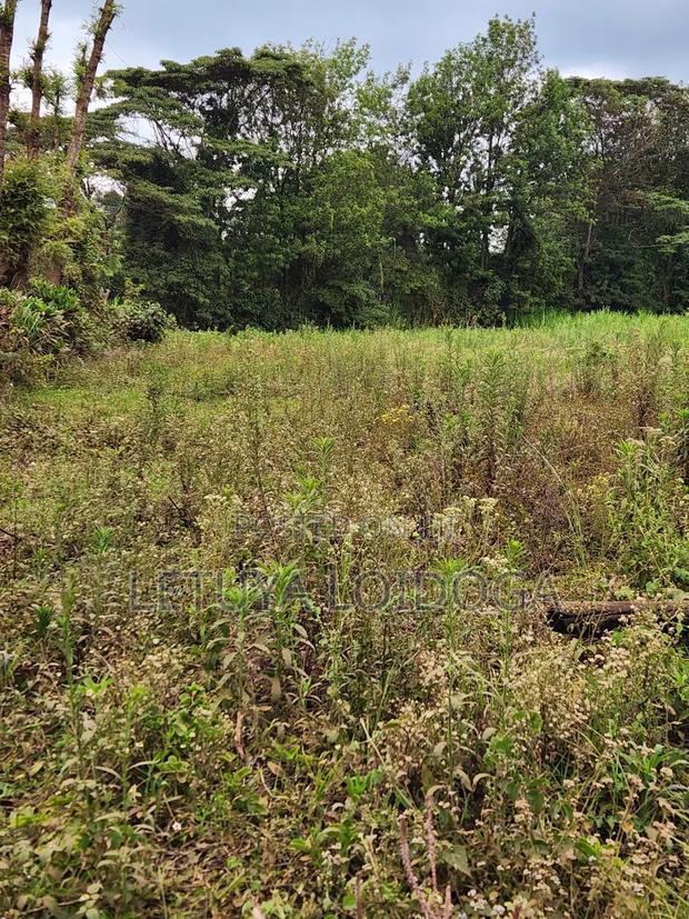 Prime Affordable 1⁄4acres Ngong Along Kahara Road - thumbnail 5