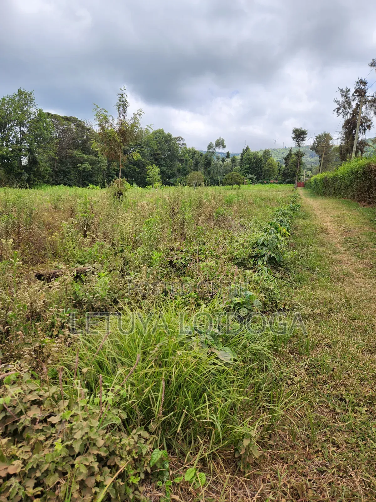 Prime Affordable 1⁄4acres Ngong Along Kahara Road