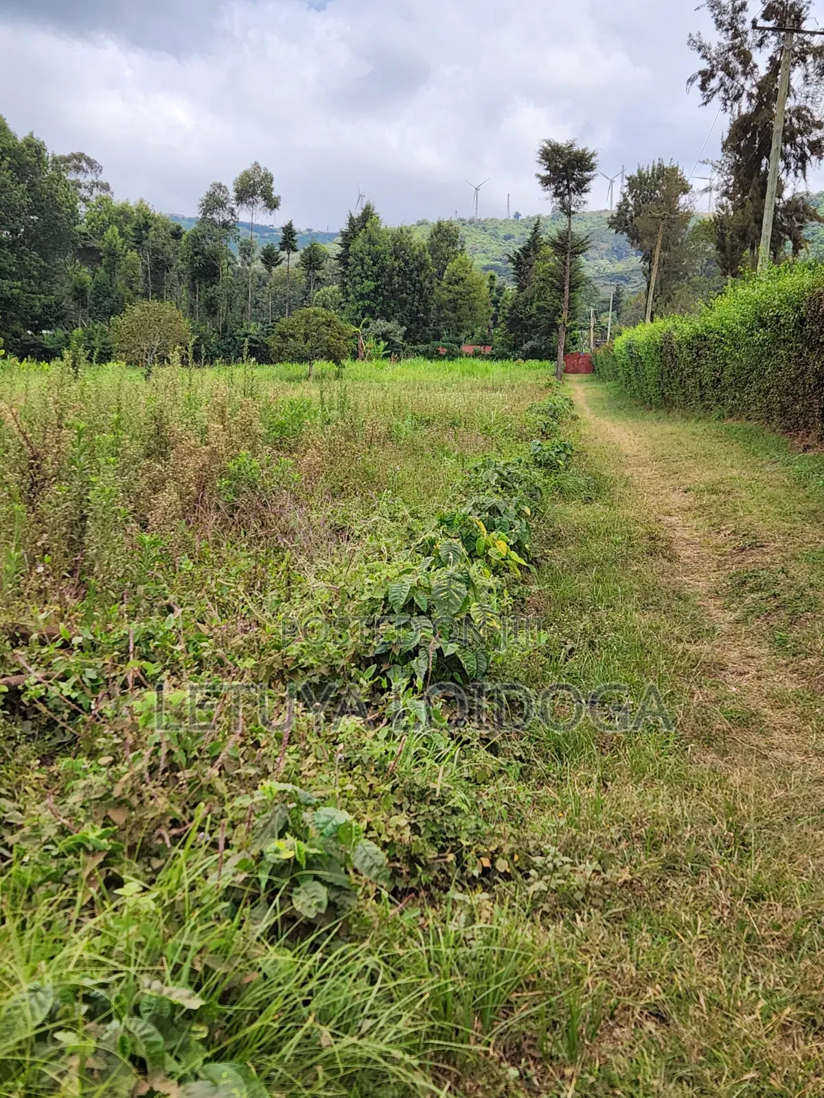 Prime Affordable 1⁄4acres Ngong Along Kahara Road