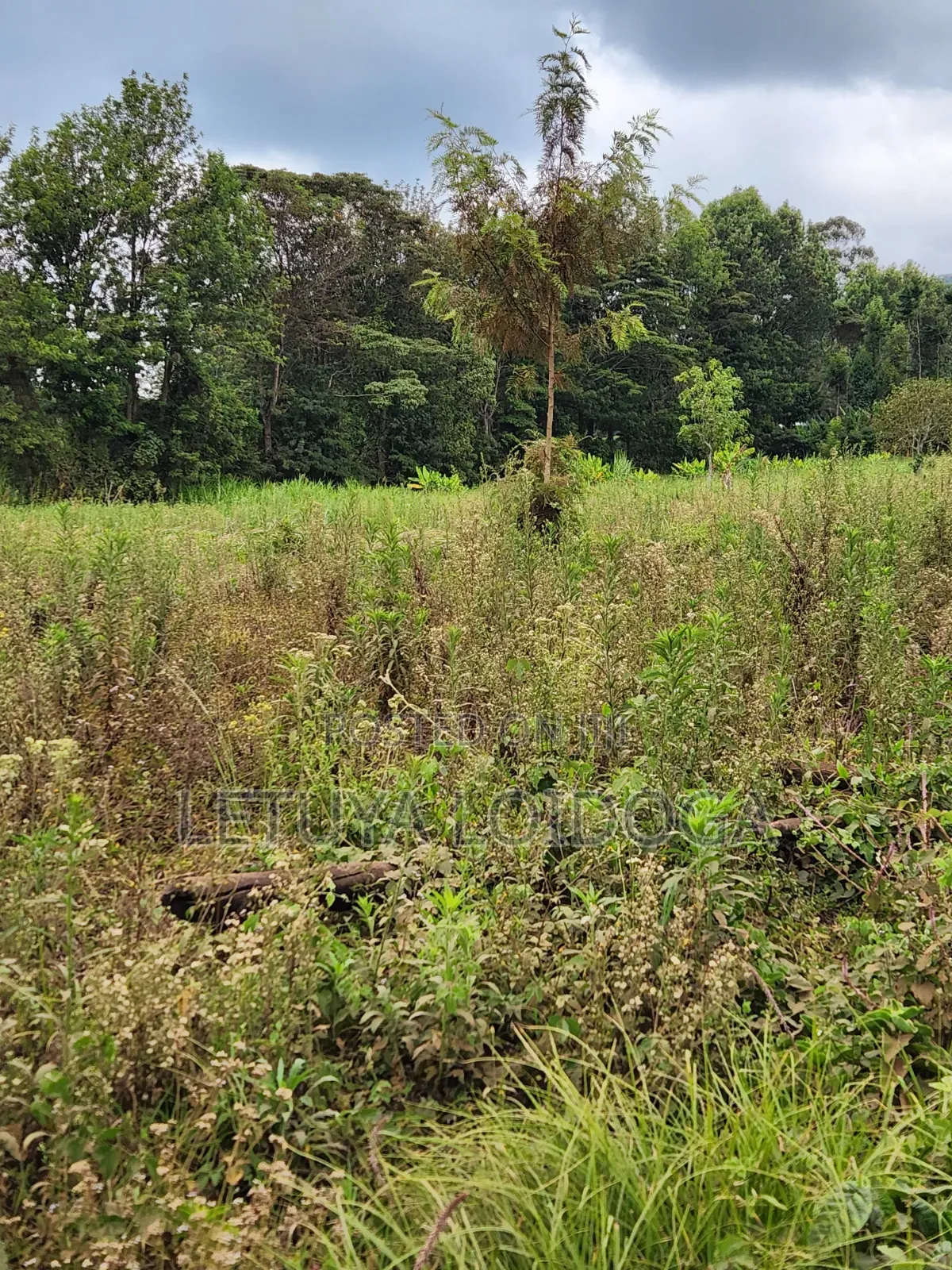 Prime Affordable 1⁄4acres Ngong Along Kahara Road