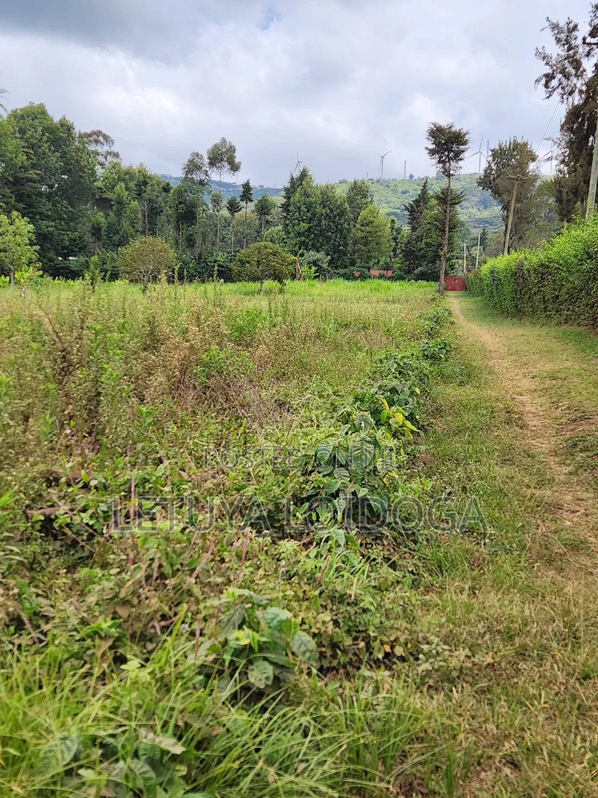 Prime Affordable 1⁄4acres Ngong Along Kahara Road