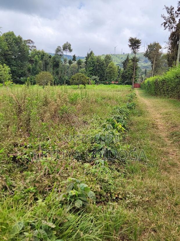 Prime Affordable 1⁄4acres Ngong Along Kahara Road - thumbnail 9