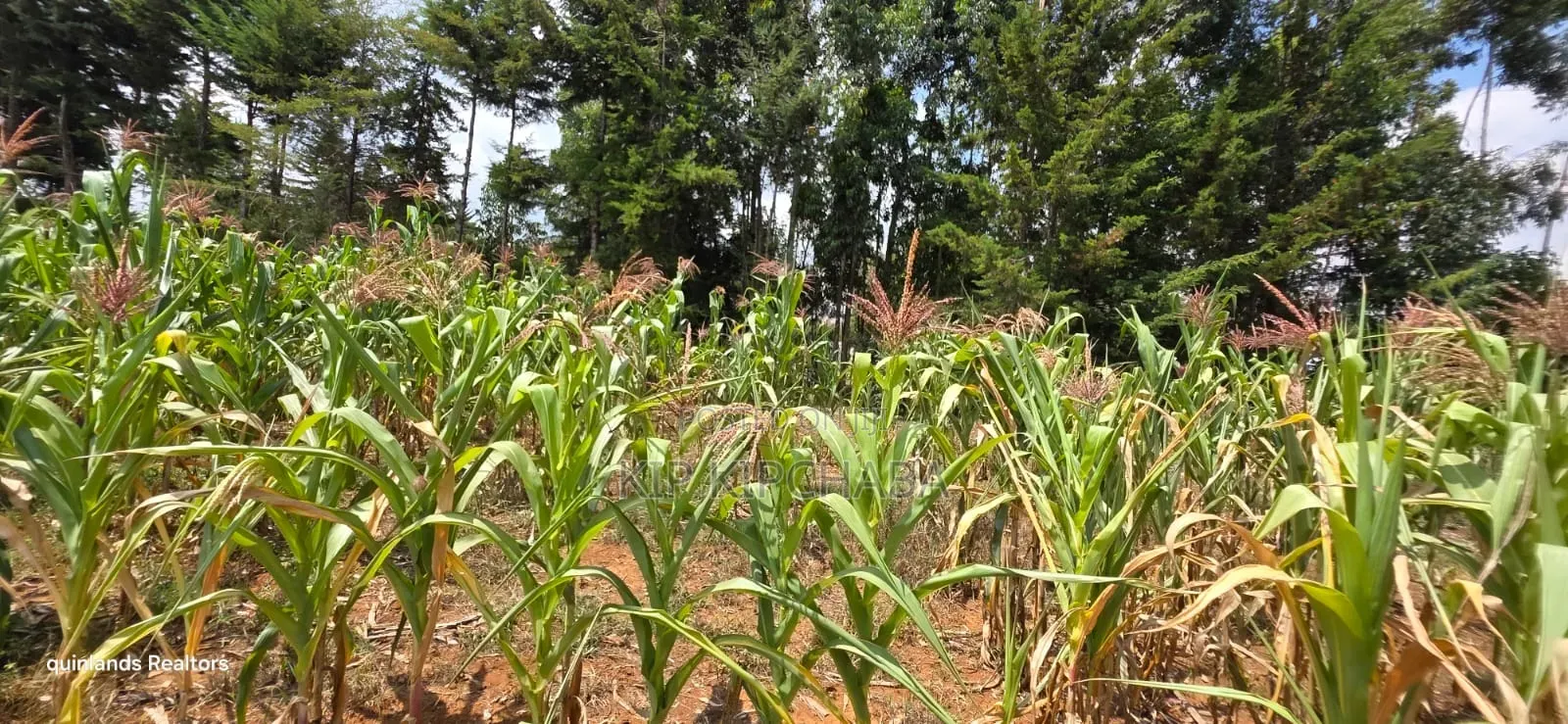 1⁄2 Acre for Sale in Kiplombe Eldoret