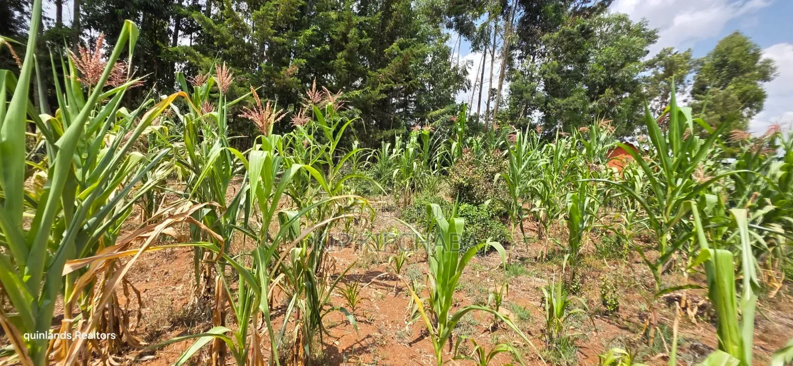 1⁄2 Acre for Sale in Kiplombe Eldoret