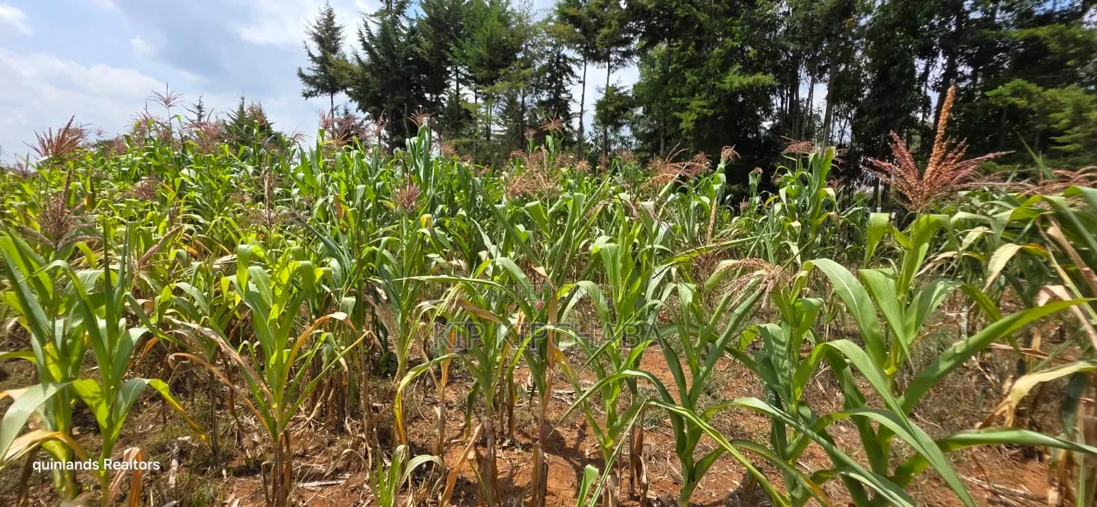 1⁄2 Acre for Sale in Kiplombe Eldoret