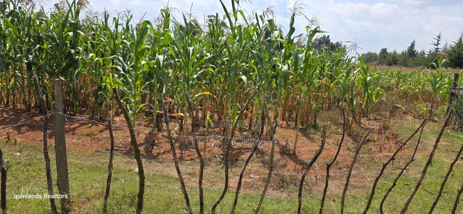 1⁄2 Acre for Sale in Kiplombe Eldoret