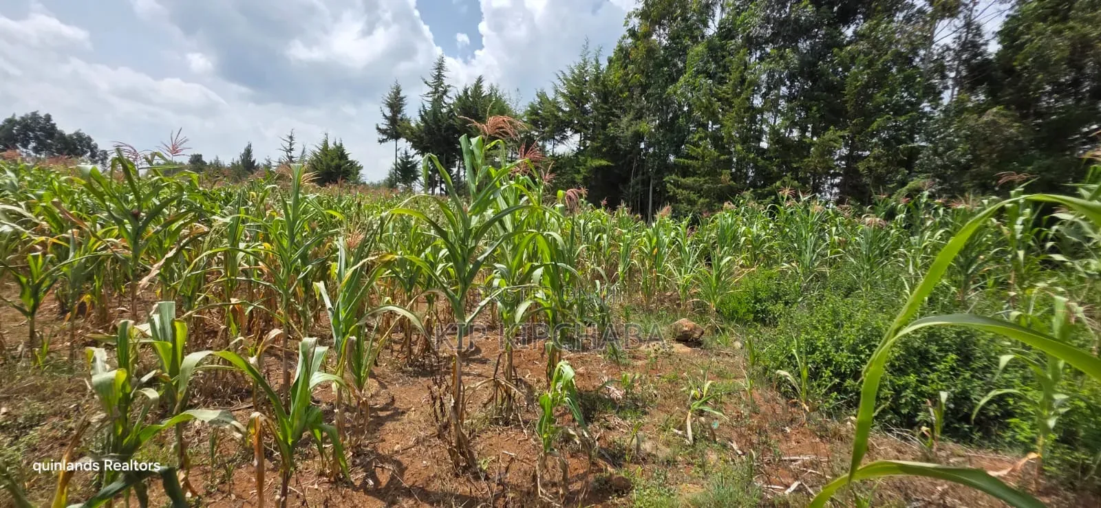 1⁄2 Acre for Sale in Kiplombe Eldoret