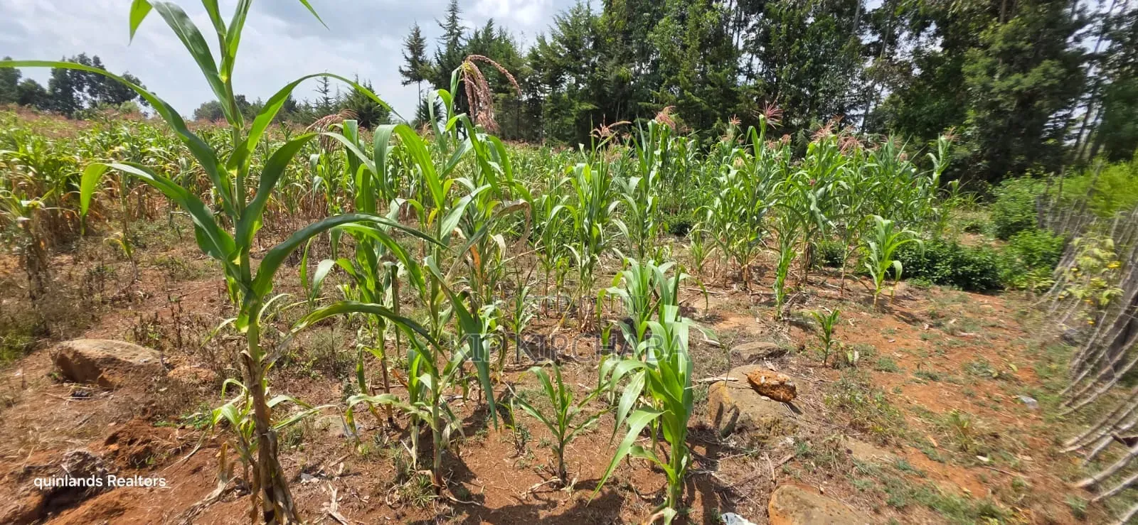 1⁄2 Acre for Sale in Kiplombe Eldoret