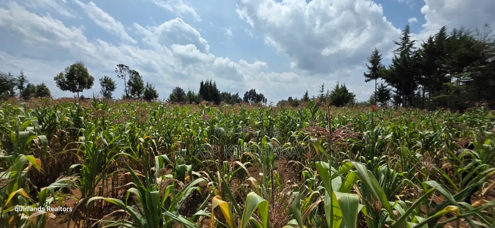 1⁄2 Acre for Sale in Kiplombe Eldoret