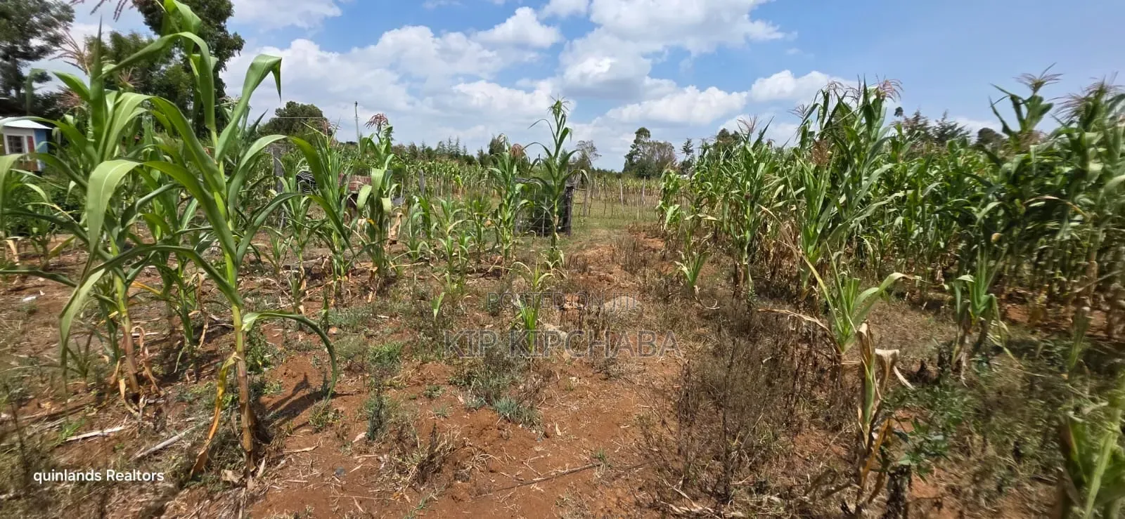 1⁄2 Acre for Sale in Kiplombe Eldoret