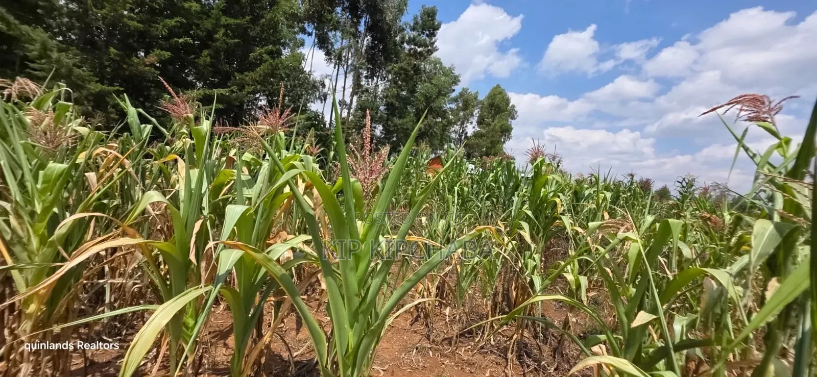 1⁄2 Acre for Sale in Kiplombe Eldoret