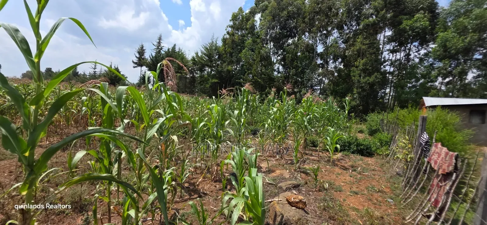 1⁄2 Acre for Sale in Kiplombe Eldoret