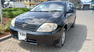 Toyota Corolla Fielder 2004 Black
