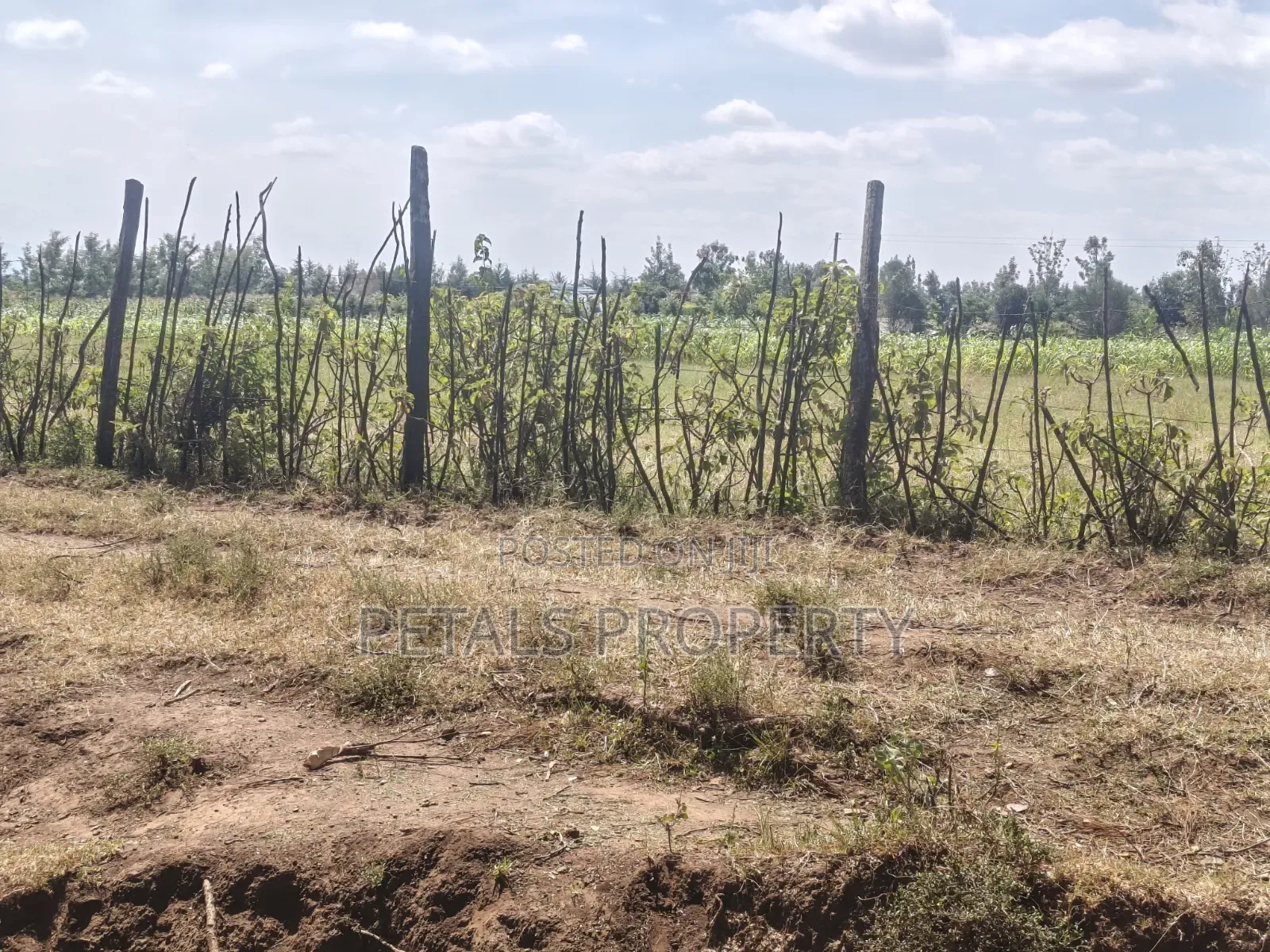 2 Acres for Sale in Tumaini, Kabarak
