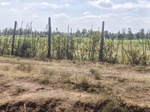 2 Acres for Sale in Tumaini, Kabarak