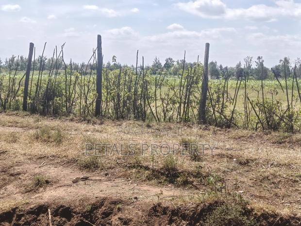 2 Acres for Sale in Tumaini, Kabarak - thumbnail 2