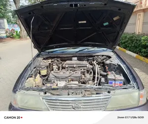 Nissan Sunny 2001 Gray