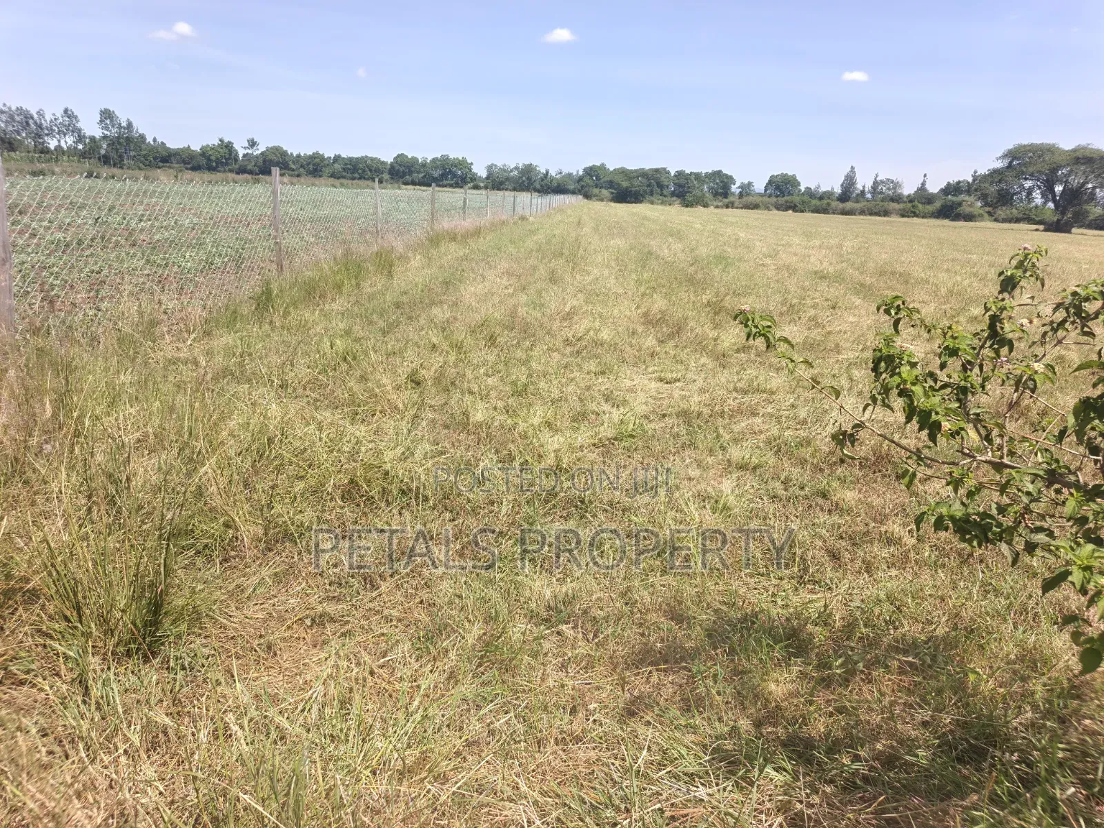 5 Acres for Sale in Kabarak