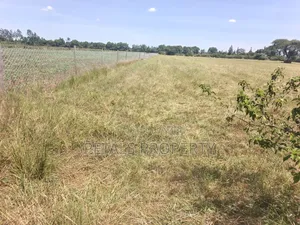 5 Acres for Sale in Kabarak