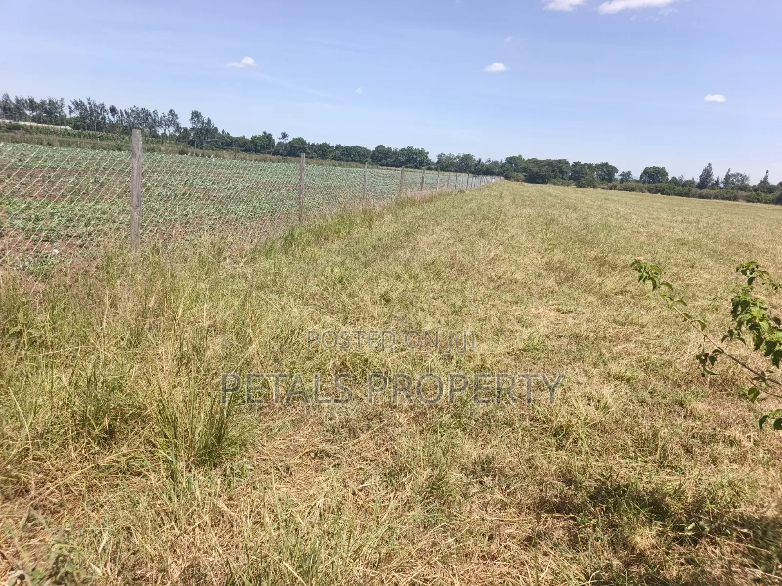 5 Acres for Sale in Kabarak