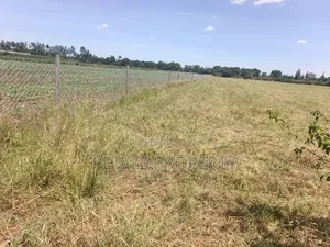 5 Acres for Sale in Kabarak