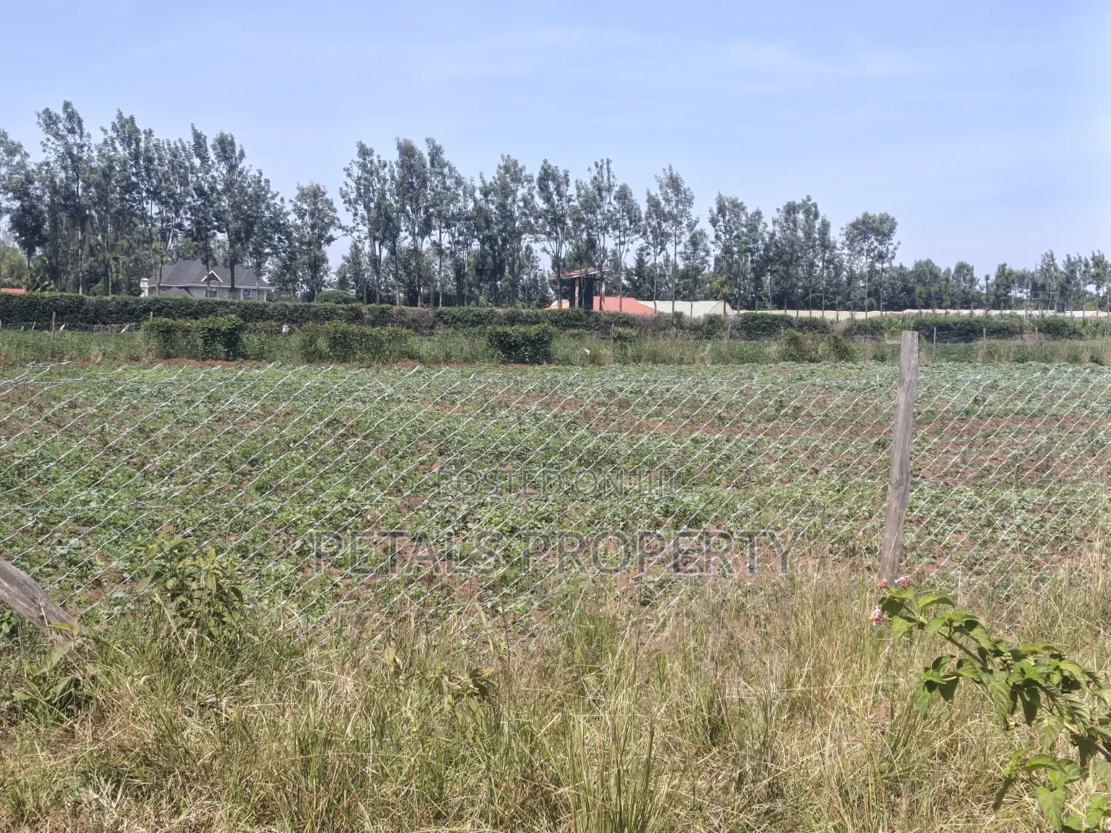 5 Acres for Sale in Kabarak
