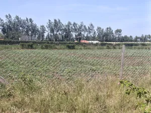 5 Acres for Sale in Kabarak