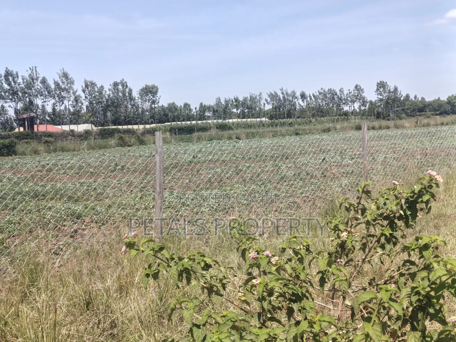 5 Acres for Sale in Kabarak