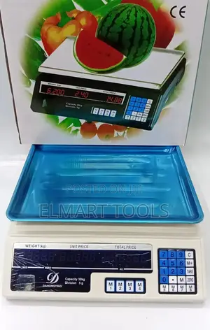 Digital Acs 30kg Electronic Weighing Scale