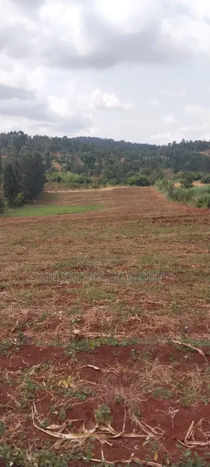 5 Acres on Sale at Maragua-Samar Area