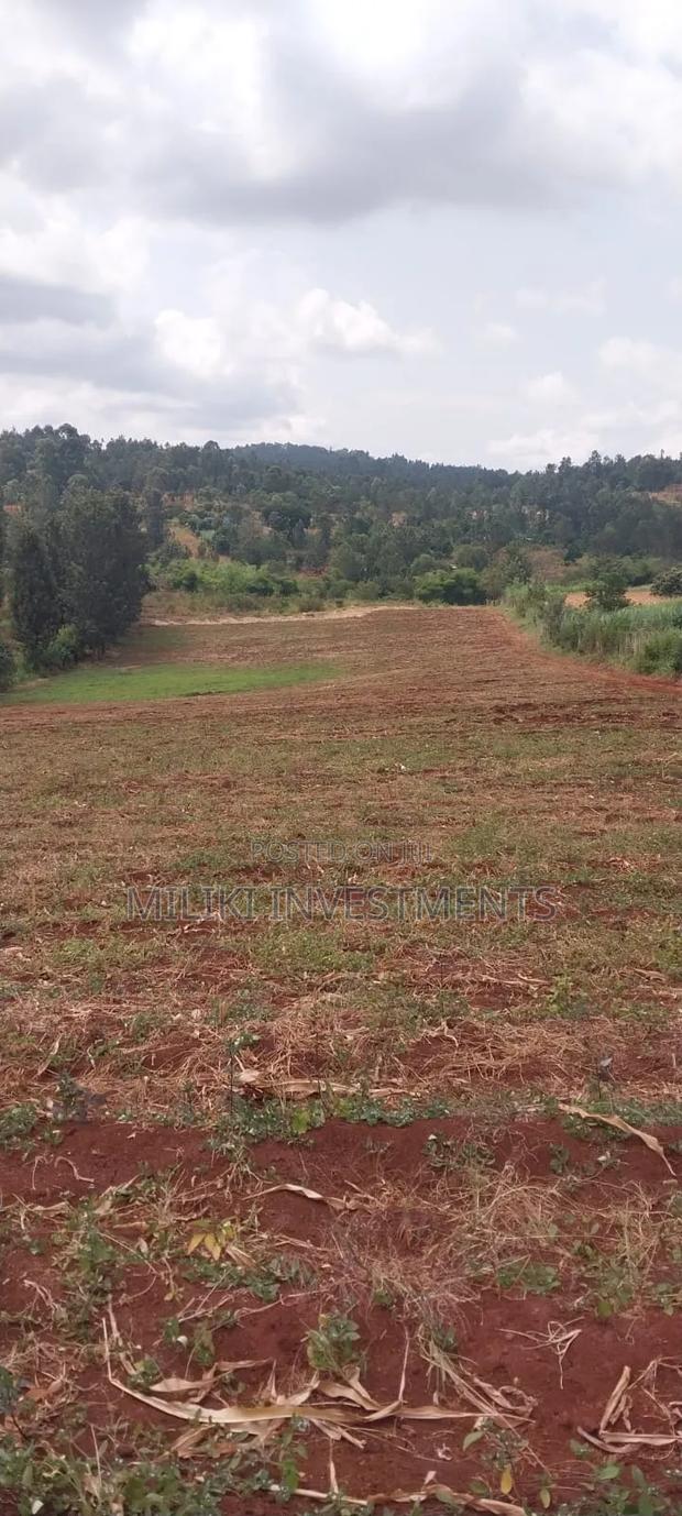 5 Acres on Sale at Maragua-Samar Area - thumbnail 2