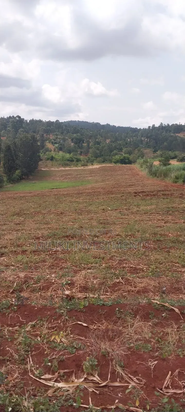 5 Acres on Sale at Maragua-Samar Area
