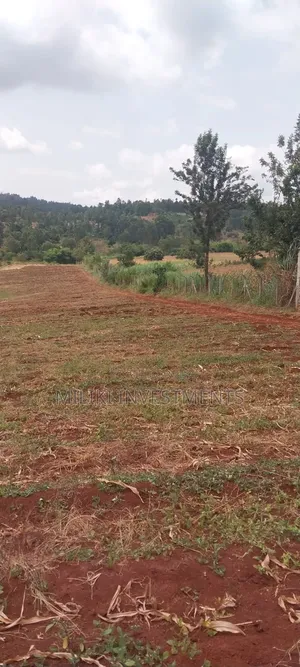 5 Acres on Sale at Maragua-Samar Area