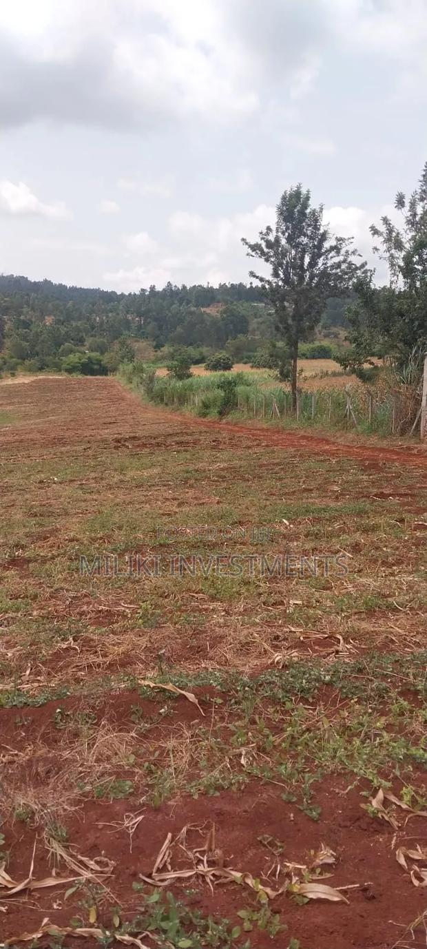 5 Acres on Sale at Maragua-Samar Area - thumbnail 3