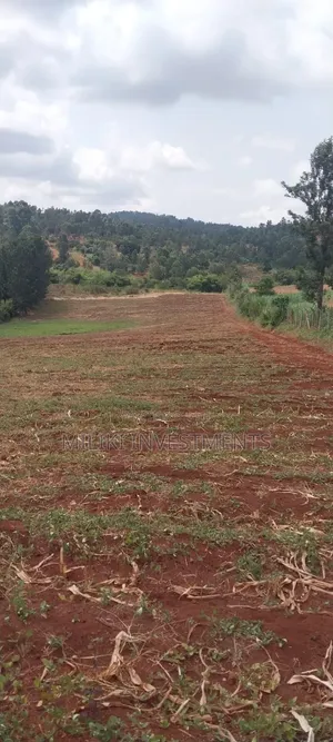 5 Acres on Sale at Maragua-Samar Area